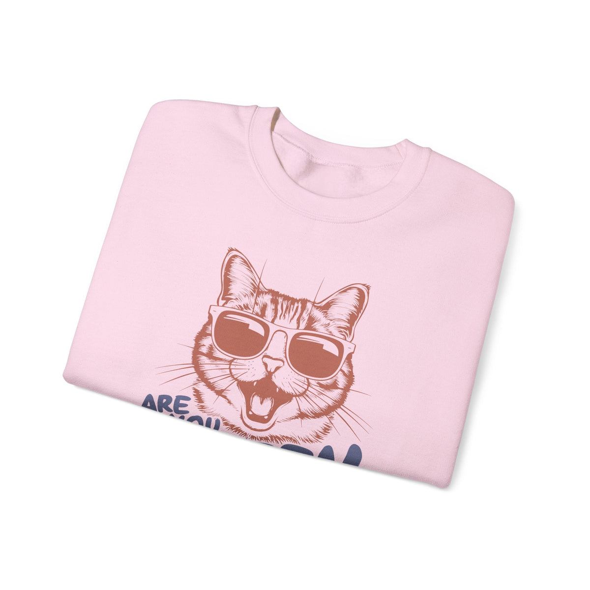 Lustiges Katzen Sweatshirt – Sweatshirt von Kalabula